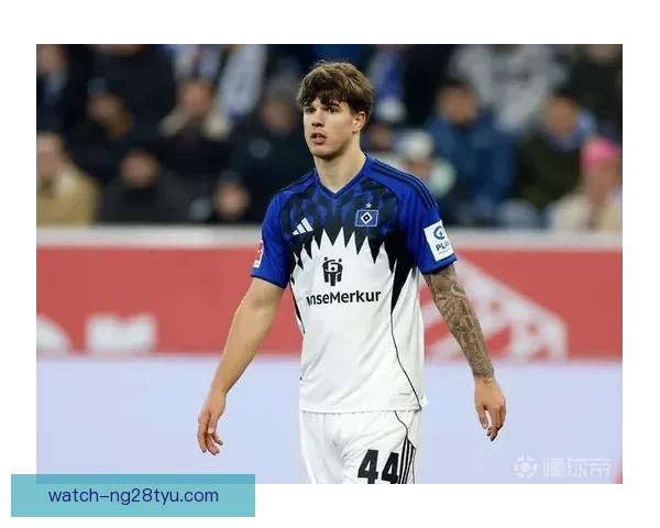 汉堡欲续租武什科维奇热刺召回