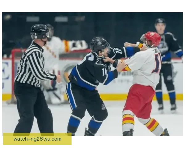 冬奥首斗殴2米壮汉互殴裁判急忙拉架